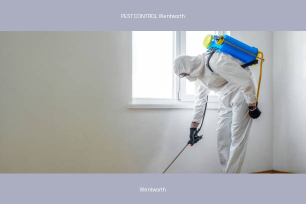 PEST CONTROL Wentworth
